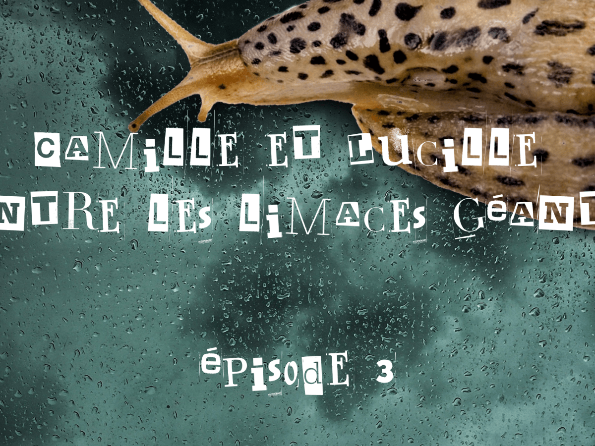 Camille et Lucille contre les limaces géantes – épisode&nbsp;3