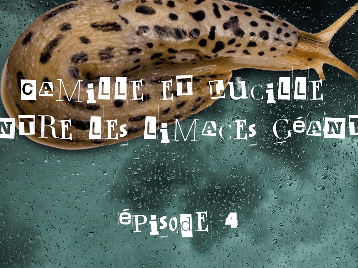 Camille et Lucille contre les limaces géantes – épisode&nbsp;4